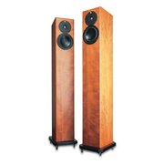 Totem Acoustic Arro фото