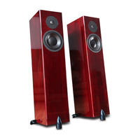 Totem acoustic Forest Signature