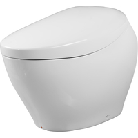 Toto Neorest NX CS901VR