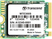 Transcend 300S TS256GMTE300S фото