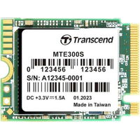 Transcend 300S TS256GMTE300S