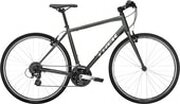 Trek FX 1 L 2021 фото