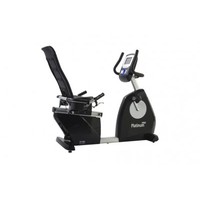 Tunturi Platinum Pro Recumbent Bike