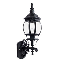 Arte Lamp A1041AL-1BG