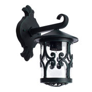 Arte Lamp A1452AL-1BG фото