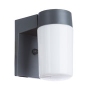 Arte Lamp A8058AL-1GY фото