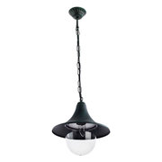 Arte Lamp A1085SO-1BG фото