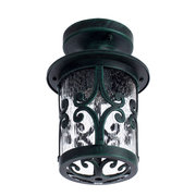 Arte Lamp A1453PF-1BG фото