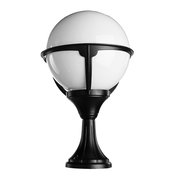 Arte Lamp A1494FN-1BK фото