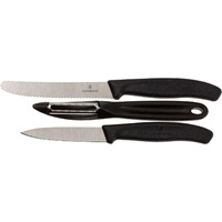 Victorinox 6.7113.31