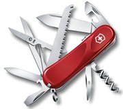 Victorinox Evolution S17 фото