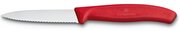 Victorinox Swiss Classic 6.7631 фото