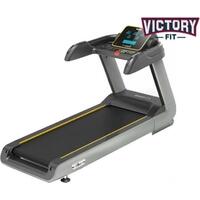 Victoryfit GYM-3000