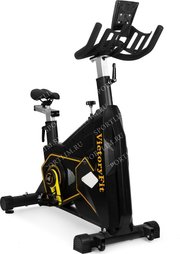 VictoryFit VF-GymRider 225 фото