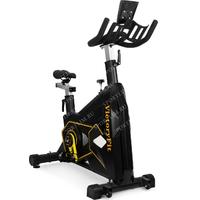 VictoryFit VF-GymRider 225