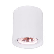 Arte Lamp A9262PL-1WH фото