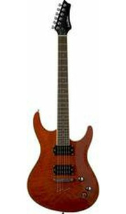 Washburn RX50F-VSB фото