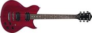 Washburn WI200VPROECK фото