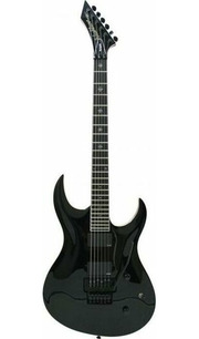 Washburn WM24VPROE фото