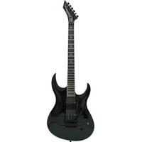 Washburn WM24VPROE