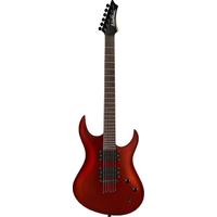 Washburn XM12MR