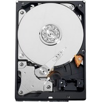 Western Digital AV-GP WD20EURS