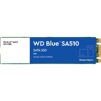 Western Digital Blue SA510 M.2 WDS100T3B0B