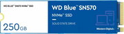 Western Digital Blue SN570 WDS100T3B0C фото