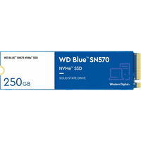 Western Digital Blue SN570 WDS100T3B0C