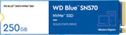 Western Digital Blue SN570 WDS250G3B0C фото