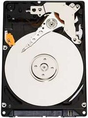 Western Digital Scorpio Black WD2500BEKT фото