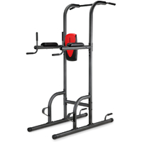 Weider Power Tower