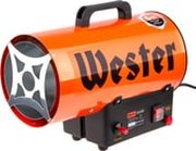 Wester TG-12000 фото