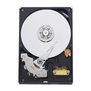 Western Digital AV WD1600AVJB 160 GB фото