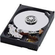 Western Digital AV WD3200AVJB 320 GB фото