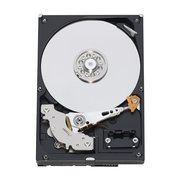 Western Digital AV WD3200AVJS 320 GB фото