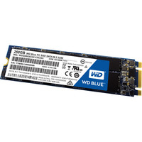 Western Digital Blue WDS250G1B0B 250GB