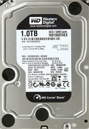 Western Digital Caviar Black 1 Тб фото