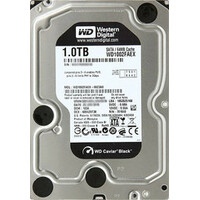 Western Digital Caviar Black 1 Тб