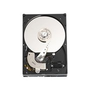 Western Digital Caviar Blue WD1600AAJS 160 GB фото