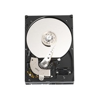 Western Digital Caviar Blue WD1600AAJS 160 GB