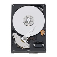 Western Digital Caviar Green WD5000AACS 500 GB