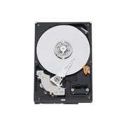 Western Digital Caviar Green WD5000AZRX 500GB фото