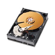 Western Digital Caviar WD1600JB Special Edition 160 GB фото