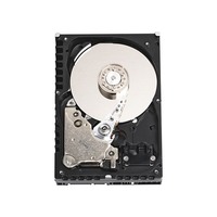 Western Digital Raptor WD1500ADFD 150 GB