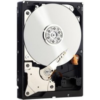 Western Digital RE WD1001FYYG 1TB