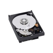 Western Digital RE WD5000ABYS 500 GB фото