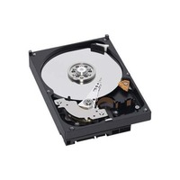 Western Digital RE WD5000ABYS 500 GB