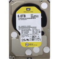 Western Digital Re WD6001FSYZ 6TB