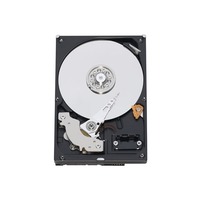 Western Digital RE3 WD2502ABYS 250 GB